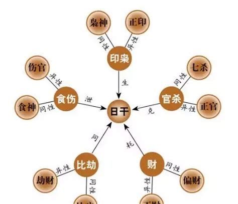 箅命|免费算命